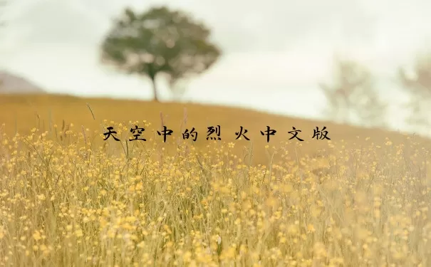 天空中的烈火中文版