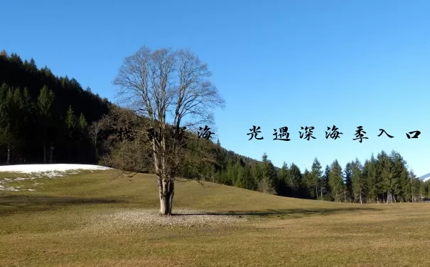 光遇怎么找到深海　光遇深海季入口