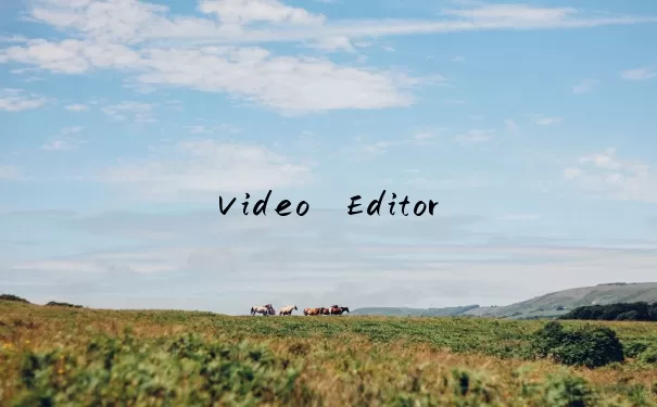 Video Editor