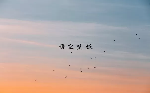 悟空壁纸