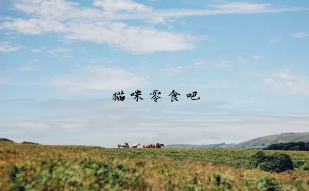 猫咪零食吧