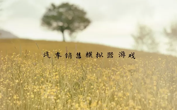 汽车销售模拟器游戏