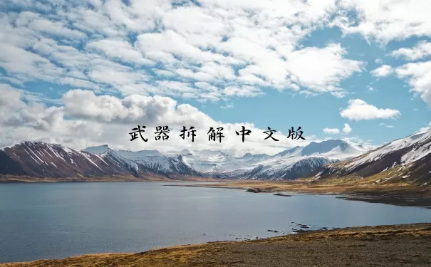 武器拆解中文版