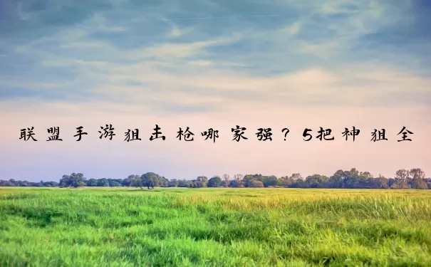 联盟手游狙击枪哪家强？5把神狙全面测评与进阶操作指南