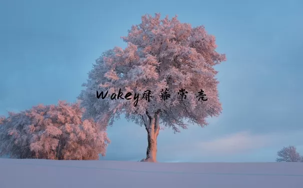 Wakey屏幕常亮