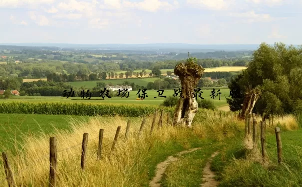 动物农场保卫战最新版