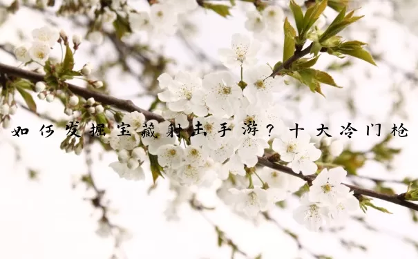 如何发掘宝藏射击手游？十大冷门枪战游戏深度解析