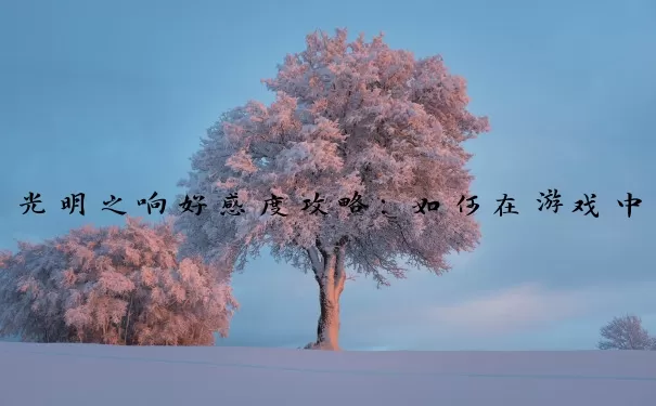 光明之响好感度攻略：如何在游戏中获得高好感度？