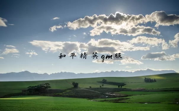 和平精英gm服