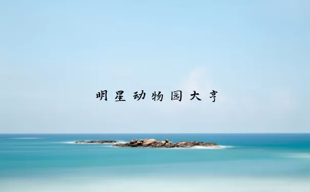 明星动物园大亨