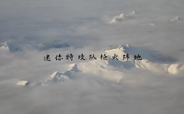 迷你特攻队枪火阵地