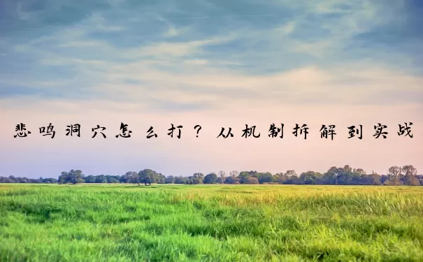 悲鸣洞穴怎么打？从机制拆解到实战进阶的完整指南