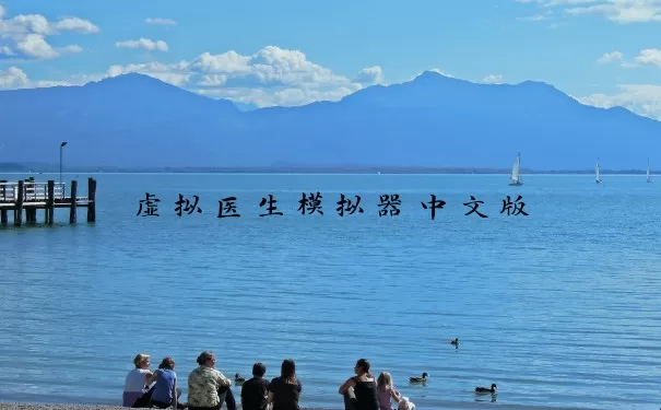 虚拟医生模拟器中文版