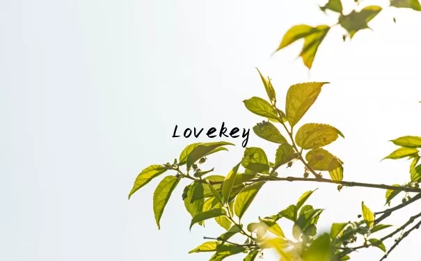 Lovekey