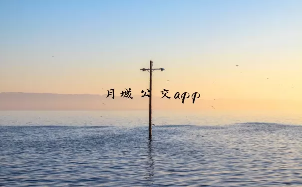 月城公交app