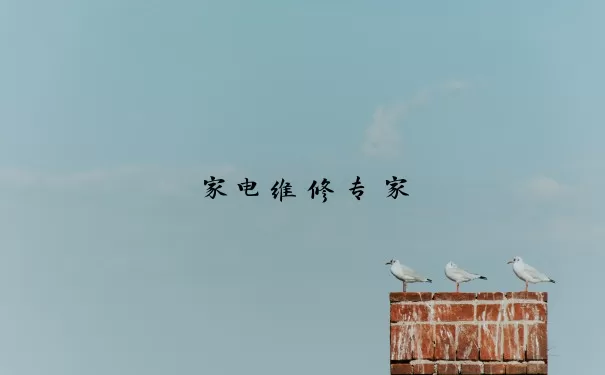 家电维修专家