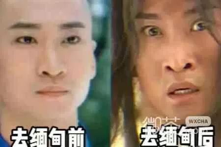 尔康去了缅甸都回不来是什么梗-尔康去了缅甸都回不来意思出处介绍