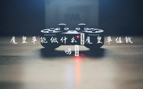 魔皇草能做什么(魔皇草值钱吗)