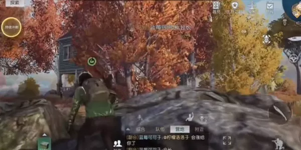 黎明觉醒湖心岛宝箱在哪里