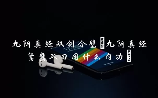 九阴真经双剑合璧(九阴真经鸳鸯双刀用什么内功)