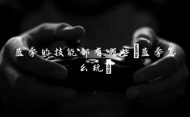 蓝拳的技能都有几种(蓝拳怎么使用)