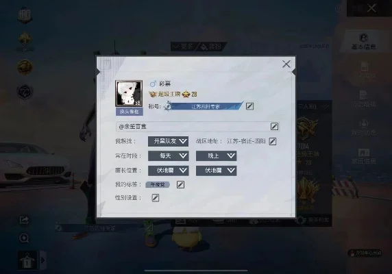 和平精英id小圆点-小圆点指引战场