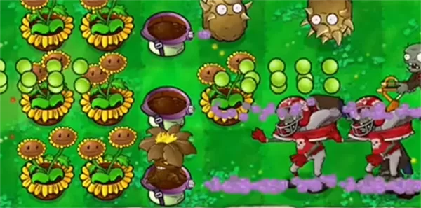 植物大战僵尸启命版 植物大战僵尸启命版