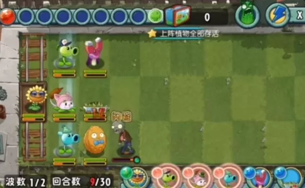 植物大战僵尸全明星破解版 植物大战僵尸全明星破解版