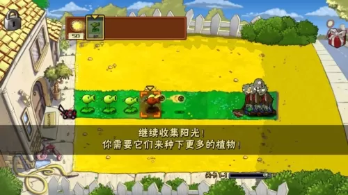 植物大战僵尸EN版 植物大战僵尸EN版