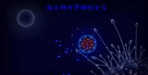 微生物生存战 微生物生存战