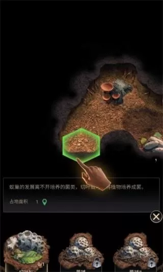 蚂蚁地下王国免谷歌登录版
