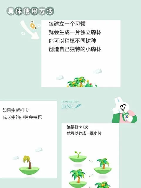 打卡森林