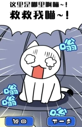 白猫和神秘的宇宙船
