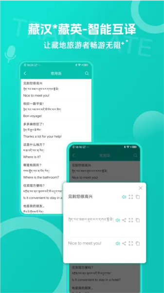 藏英翻译TibeticEnglish