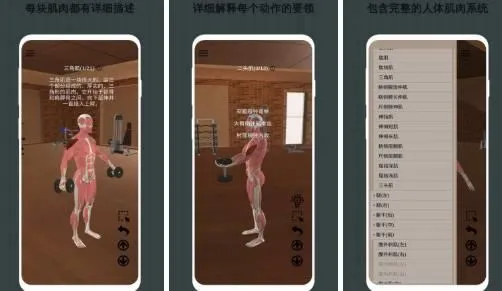 3D健身指南