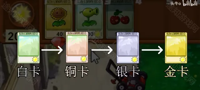 pvz新指导版