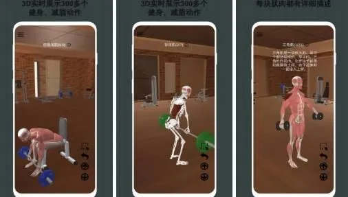 3D健身指南