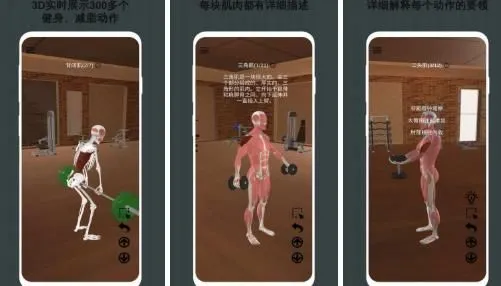 3D健身指南