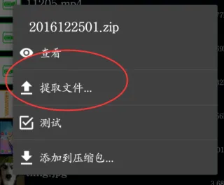 ZArchiver Pro捐赠版