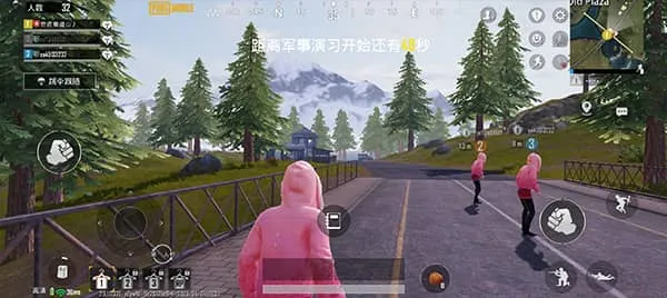 pubgmobile国际版