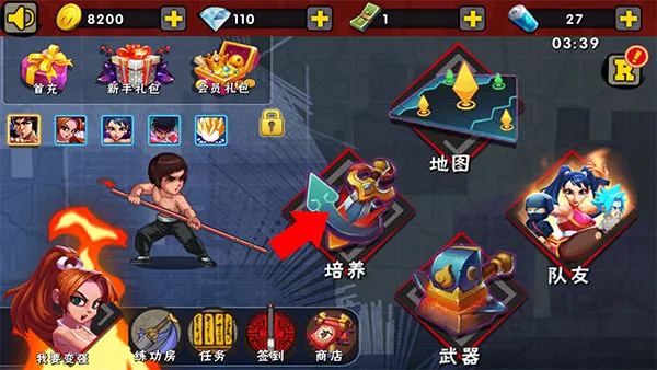 功夫激战3