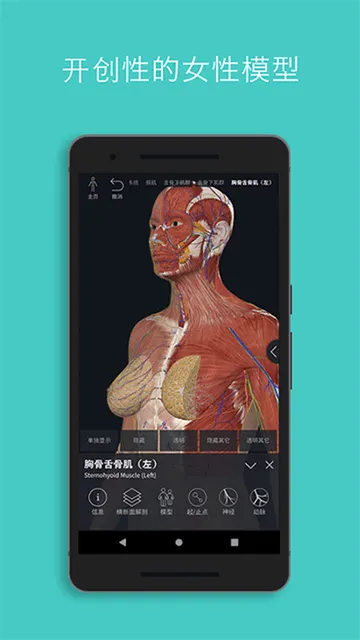 Complete Anatomy