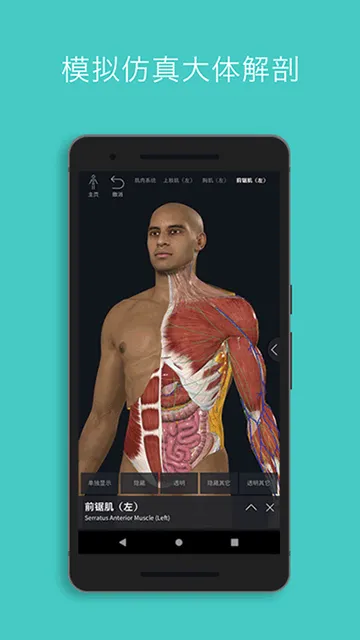 Complete Anatomy