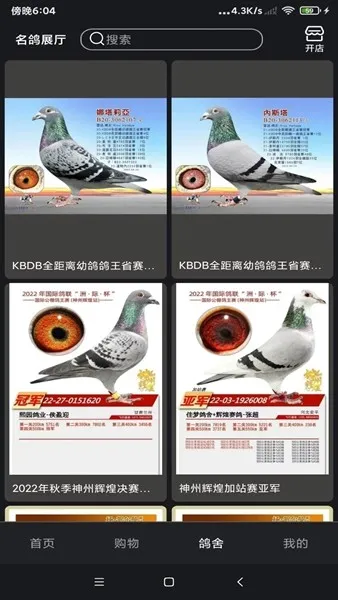 鸽报短视频apk