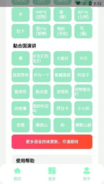 丁真盒