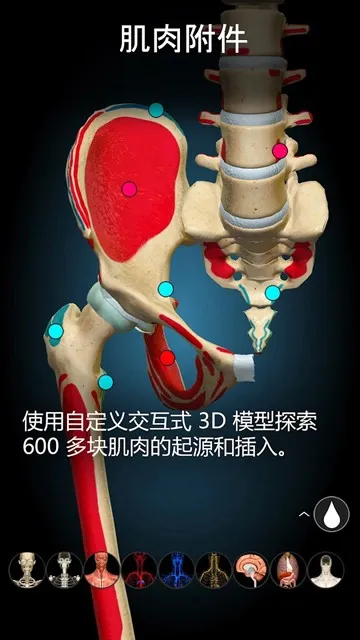 3D解剖学Anatomy Learning完整版