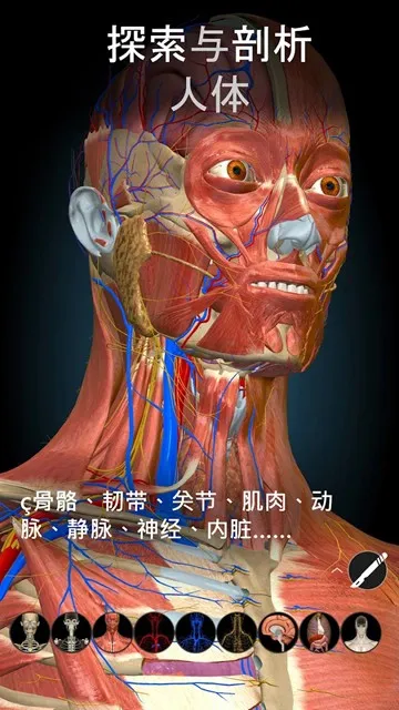 3D解剖学Anatomy Learning完整版
