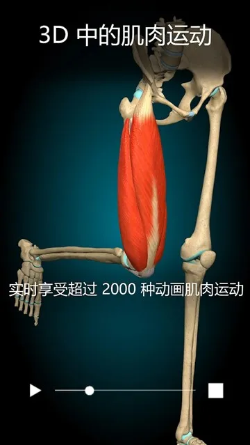 3D解剖学Anatomy Learning完整版