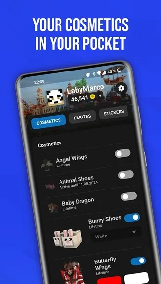 我的世界LabyMod