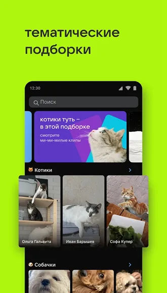 VK Clips